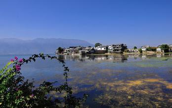 ����˫��