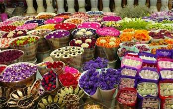 �����г�