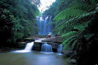 ���Ŵ�Ͽ��