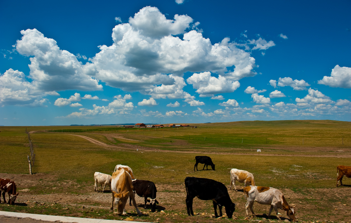 ɹŴԭ5Aɳ塢 ɹ׸ͺ˫6